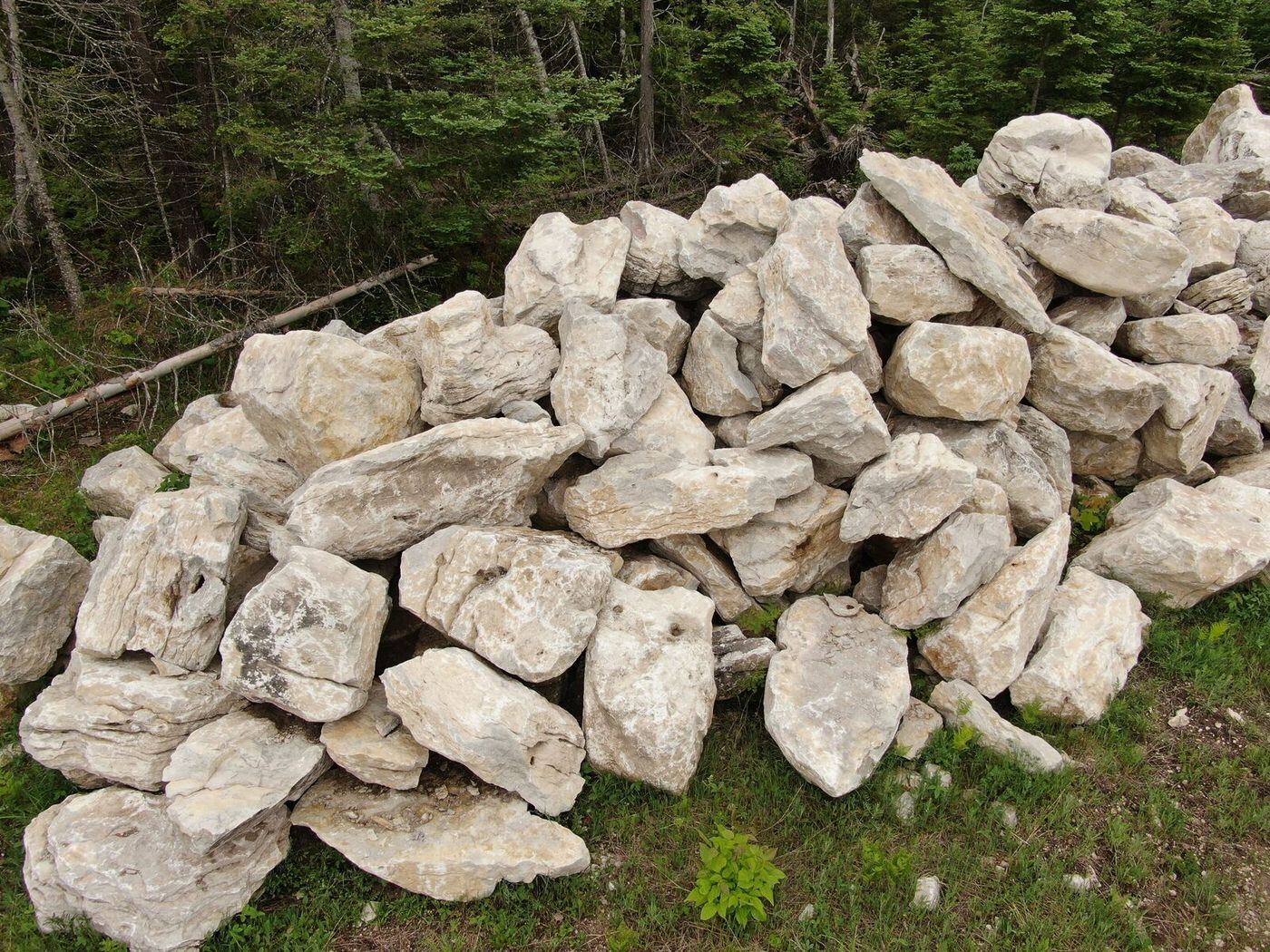 Character limestone boulders at the forest edge