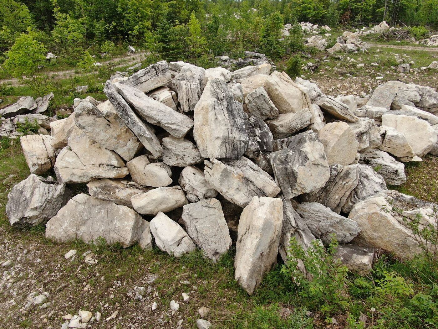 Large character limestone pile with natural faces