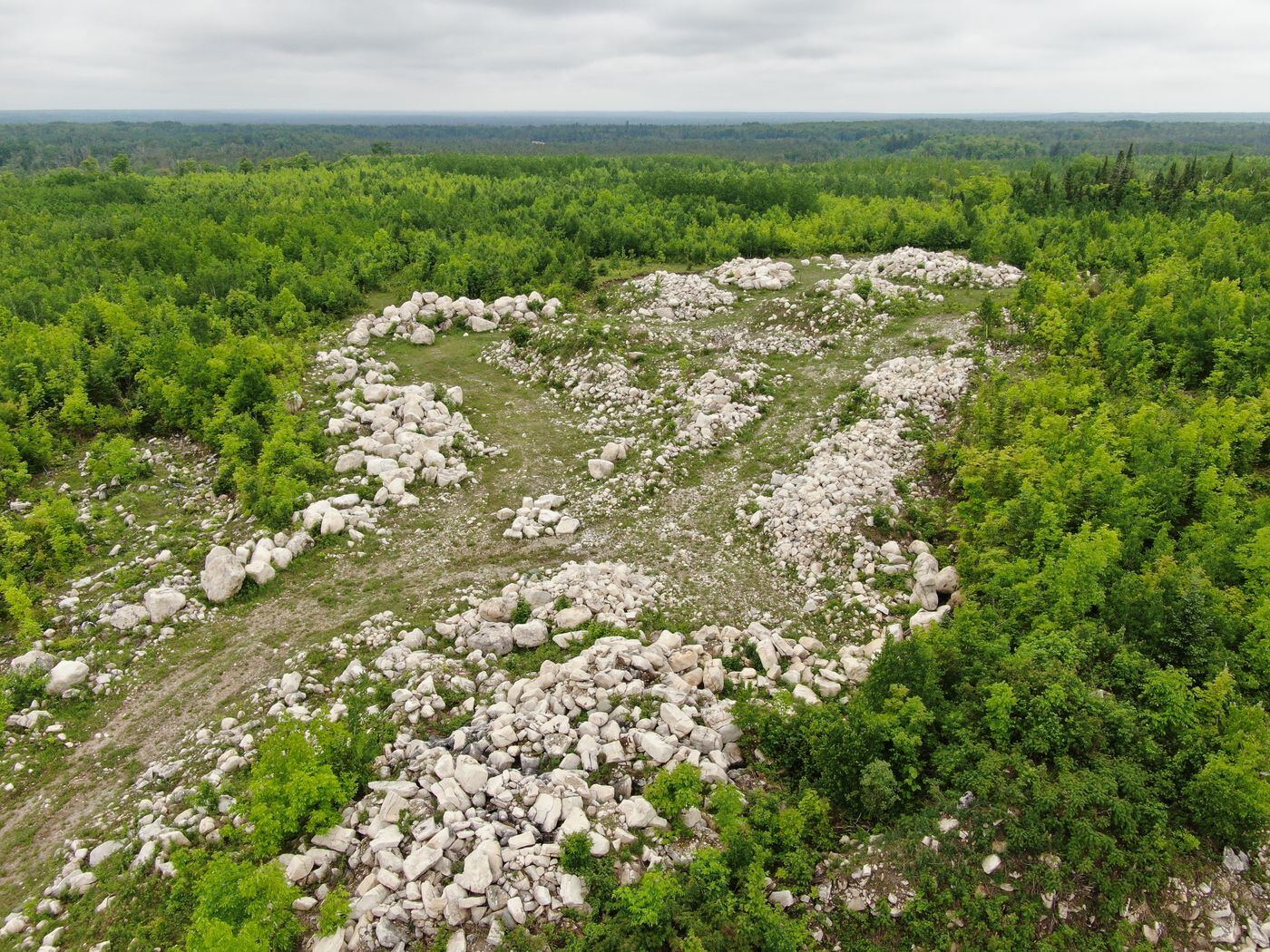 Aerial of limestone boulder field surrounded by forest