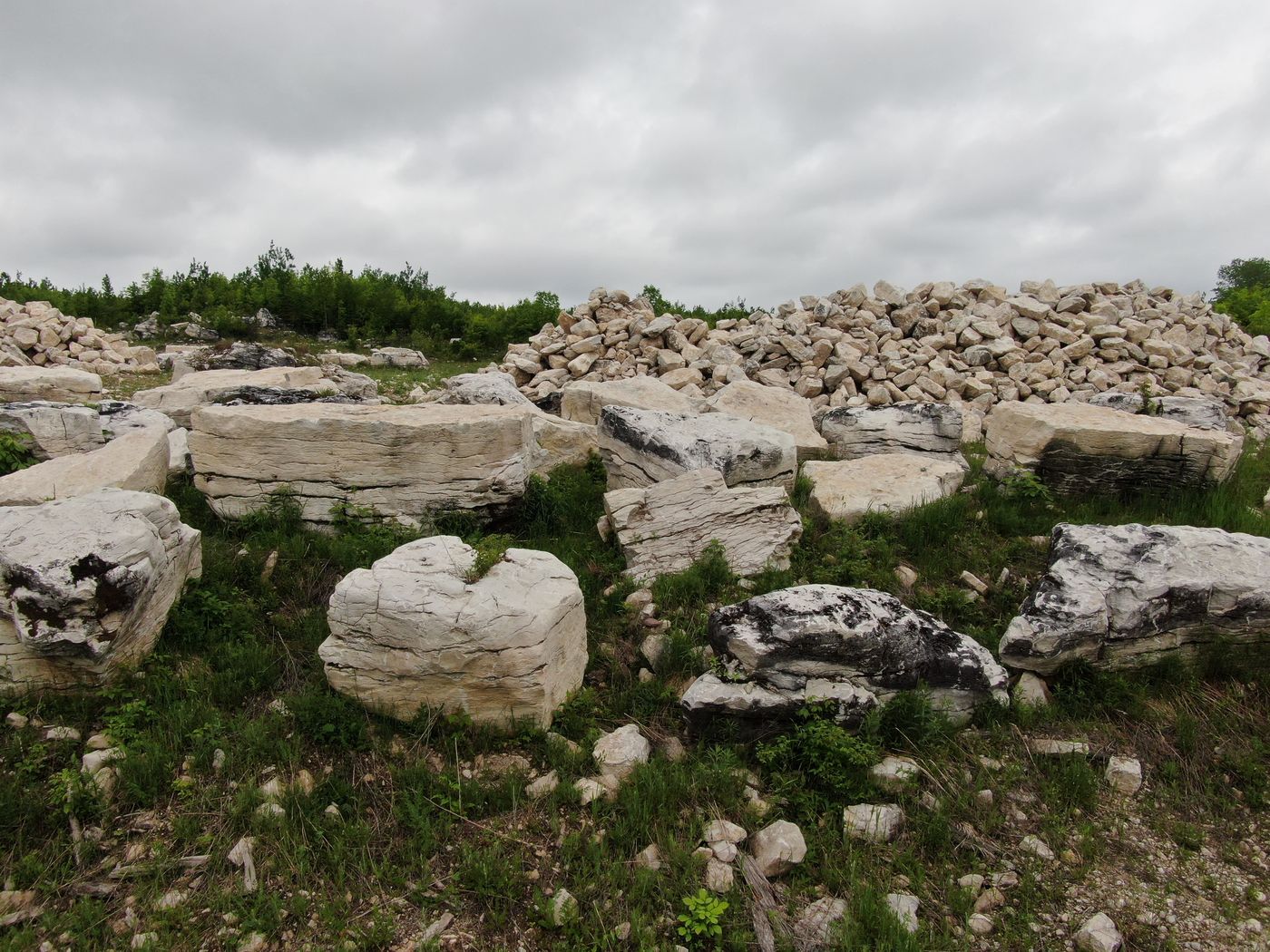 Field of large rectangular limestone blocks