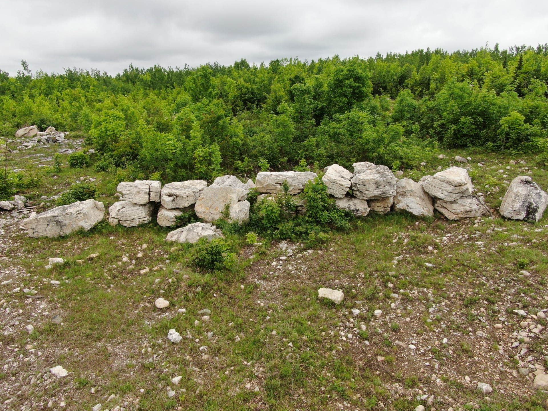 Large limestone boulders at Goetzville quarry
